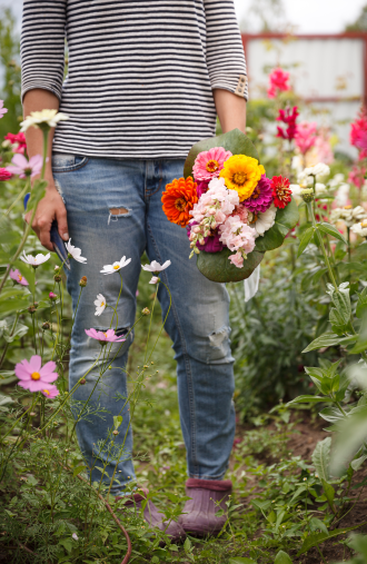 Flower Farmer